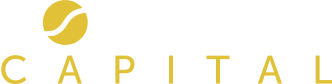 Consilium Logo